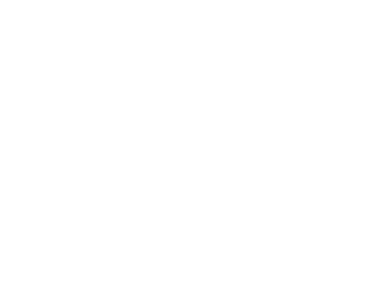 Fonestop